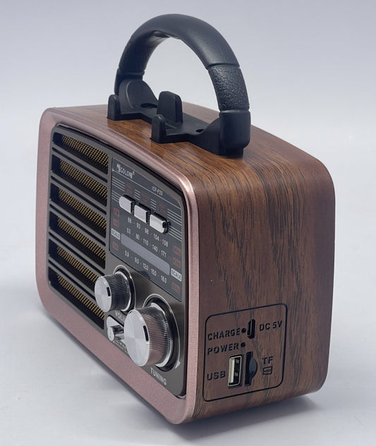 RADIO ICF-F21/F22/F23 -GOLON