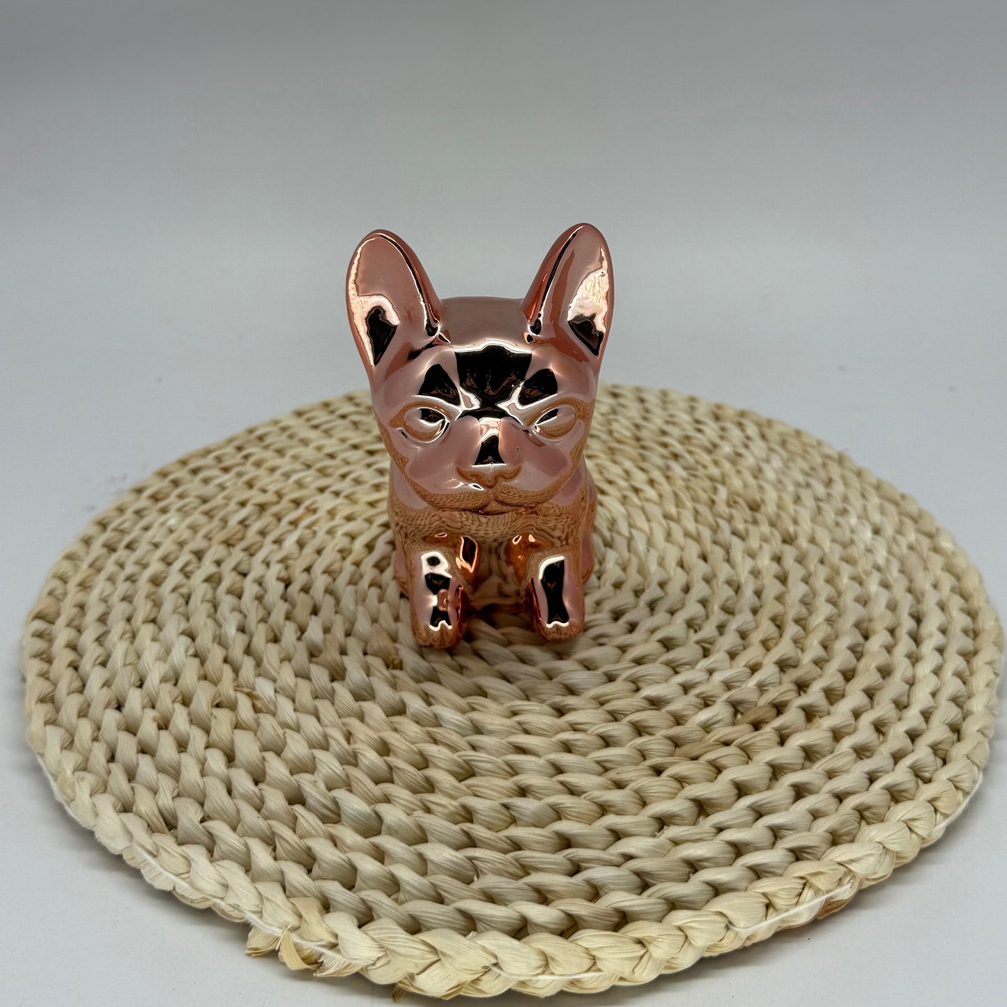 Money Box Chien