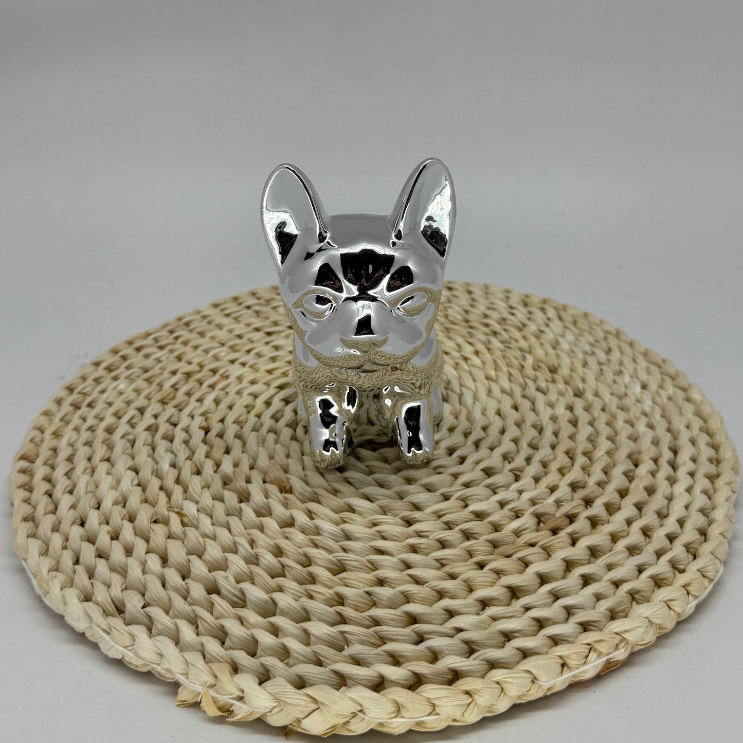 Money Box Chien