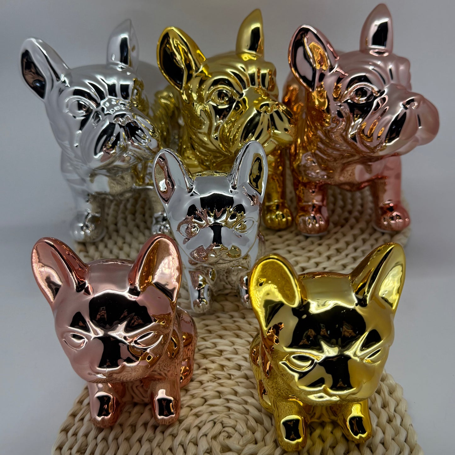 Money Box Chien