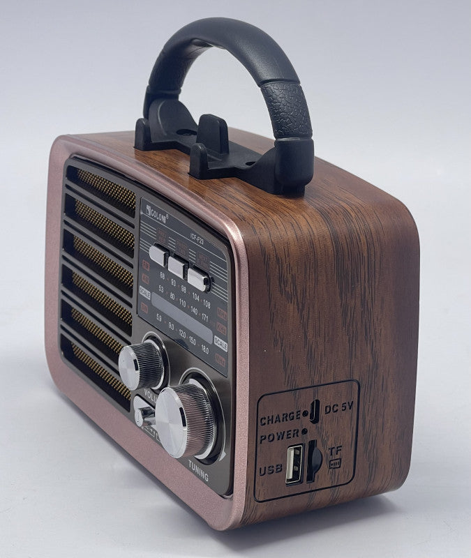 RADIO ICF-F21/F22/F23 -GOLON