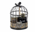 Coffret Cage en métal décor Jungle avec Flacon Diffuseur et Bougie Lola