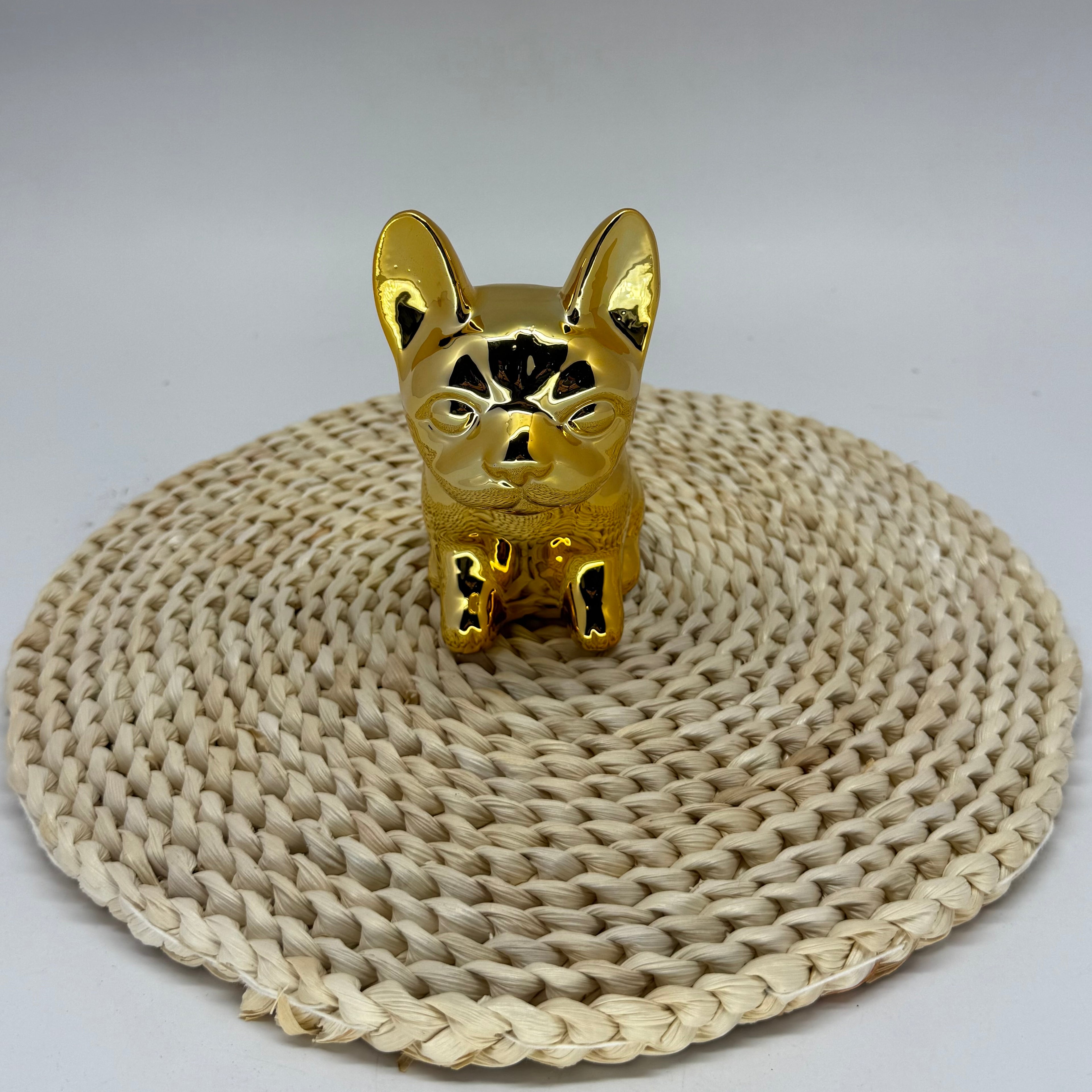 Money Box Chien