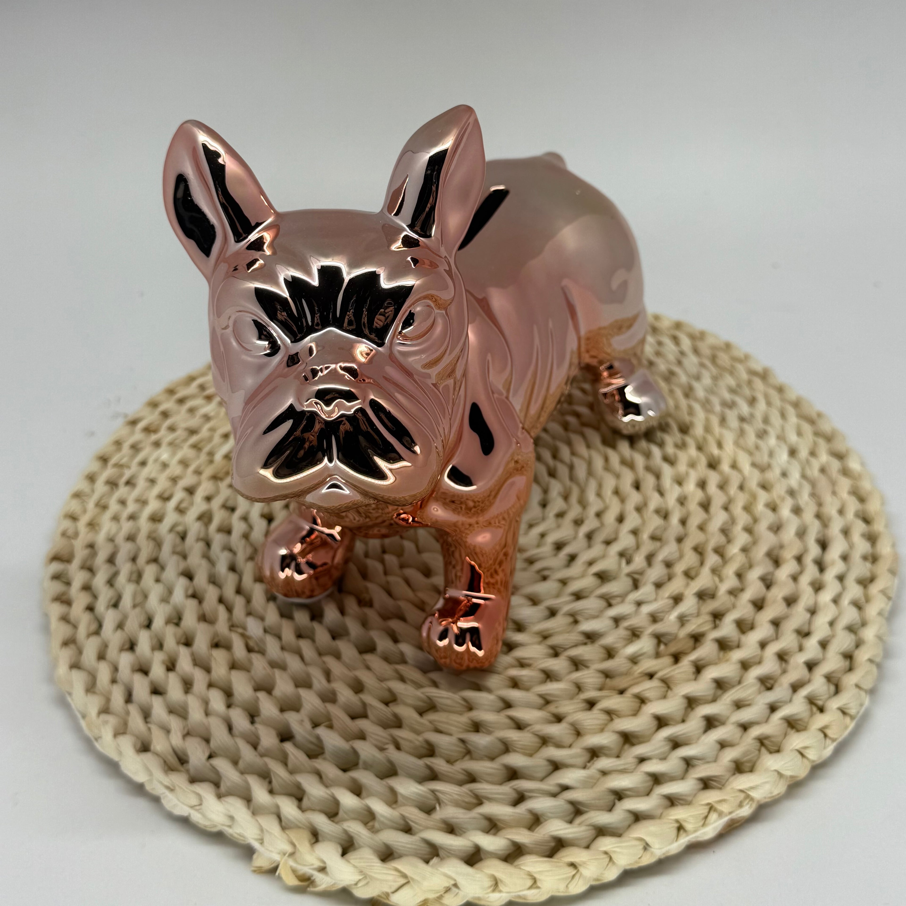 Money Box Chien