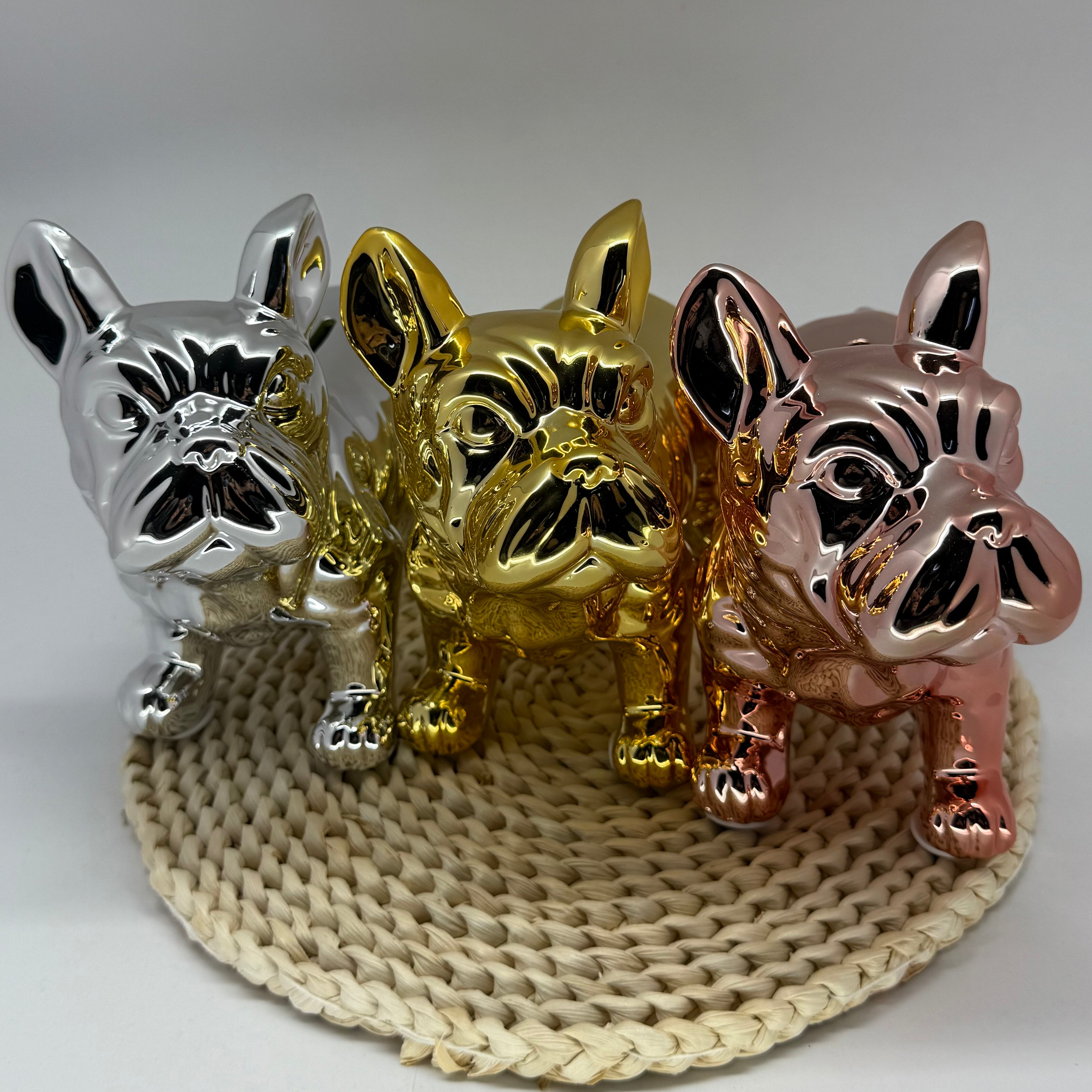 Money Box Chien